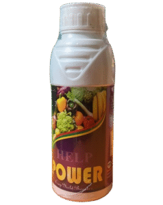 WhatsApp_Image_2025-11-21_at_3.20.23_PM__1_-removebg-preview