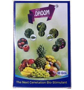 WhatsApp_Image_2025-11-21_at_3.20.26_PM-removebg-preview