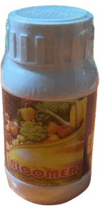 WhatsApp_Image_2025-11-21_at_3.20.27_PM-removebg-preview